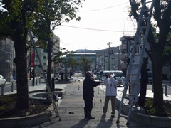 20121221_si004 20121221_si004