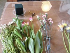 20130305km_007 20130305km_007