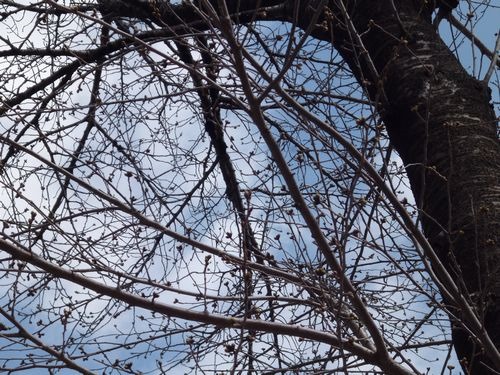 20130326mo_004 20130326mo_004