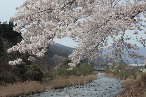 20130423_ky002 20130423_ky002