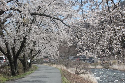 20130423_ky003 20130423_ky003