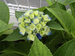 20130706km003 20130706km003