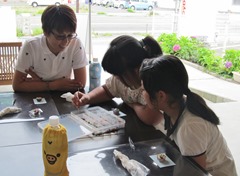 20140801_oa007 20140801_oa007