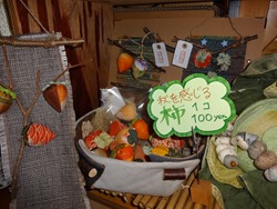 20140911ku_01 20140911ku_01