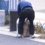 「青葉のじいちゃん」