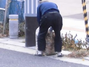 「青葉のじいちゃん」