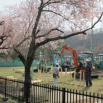 2011釜石さくら便り 02