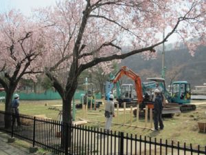 2011釜石さくら便り 02