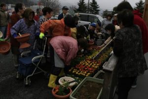 上中島仮設にお花がいっぱい＆かわいいミサンガ