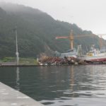 【釜石魚市場再開】
