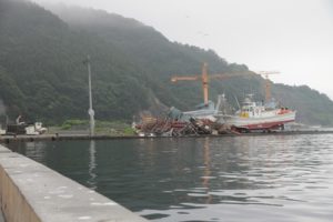 【釜石魚市場再開】