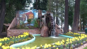 釜石・大槌からカナダ・バンクーバー【Seiya Day8】