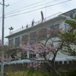 釜石さくら便り 02