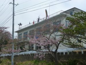釜石さくら便り 02