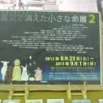 震災で消えた小さな命展inシープラザ釜石