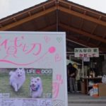 LIFE with DOG ～みんなで作るわんこのイベントin釜石～