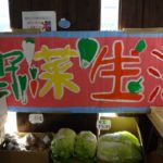 【キッズマート 野菜生活】 in インターネットdeかだって