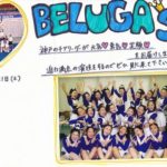 【お知らせ】1月21日(土)青葉公園商店街に甲南女子大チアリーダーがやってくる!!