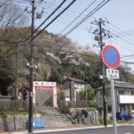 釜石さくら便り 05
