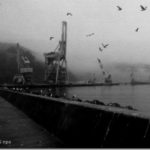 [ocean] code 80LJ1115