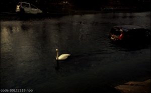 [toast] code 80LJ1115-003