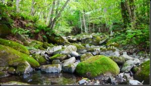 第２回　写真撮ろうよ！ワークショップ＠橋野高炉跡