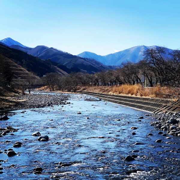 このへんに来るの久しぶりなので、今日の一枚は甲子川。